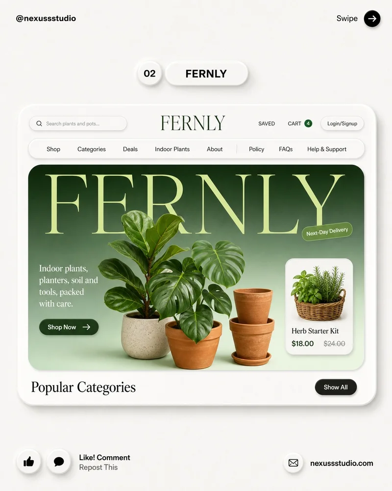 Fernly plant shop design