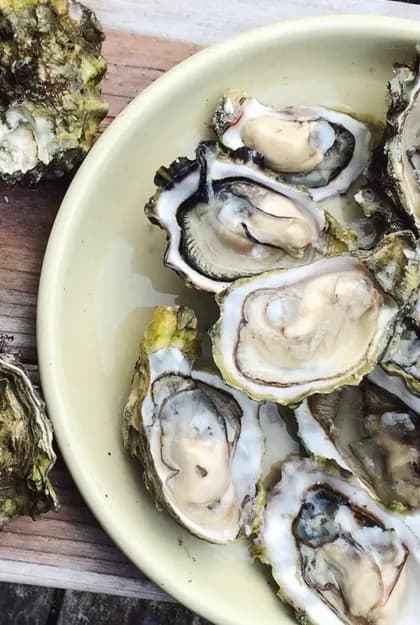 Rock oysters opened on a pale plate